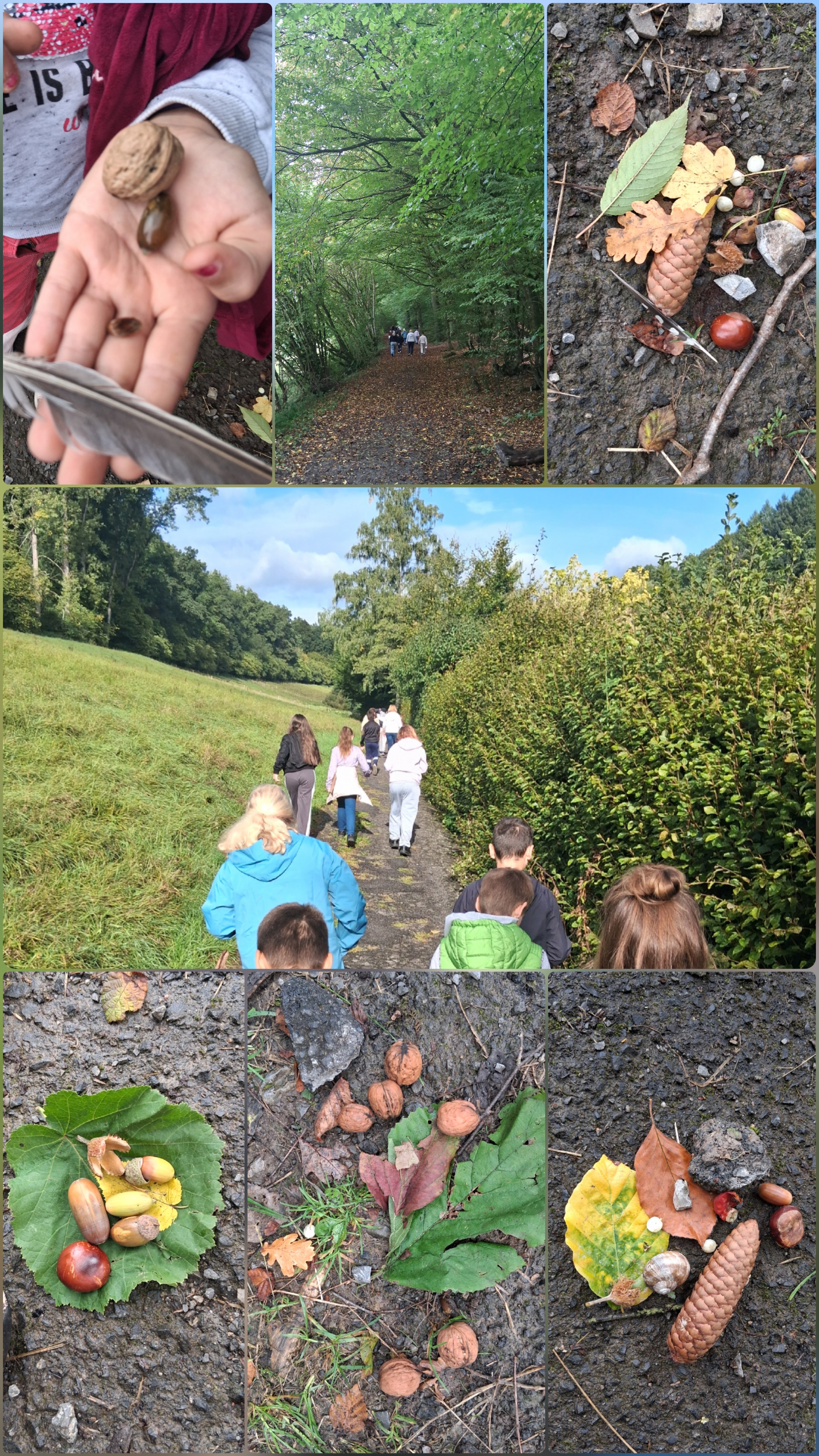 Herbst Wald Schatzsuche